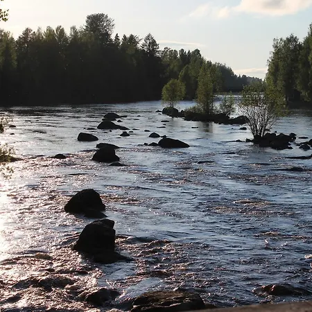 Lohimaa 2*